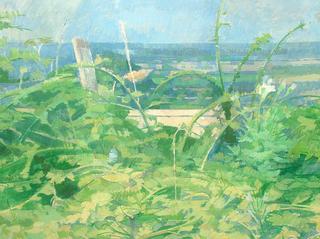 View over the Flowers