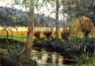 Landscape