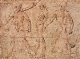 Different Studies (Standing Male Nudes and Arms)