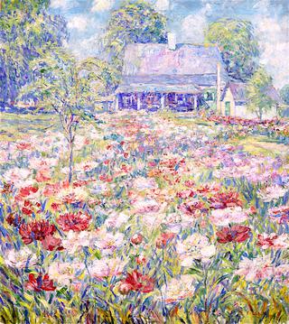 The Peony Garden