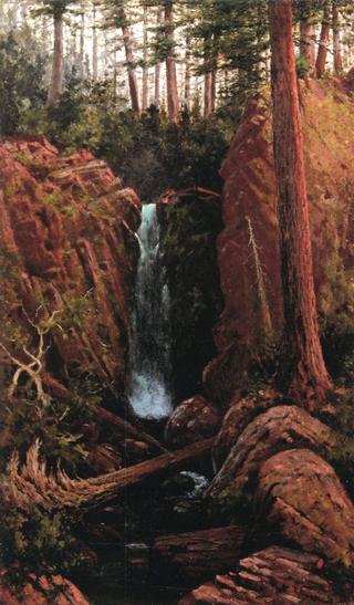 Waterfall in a Forest Interior