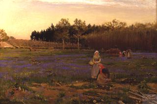 Picking Bluebells