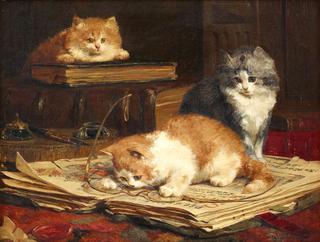 petits curieux
