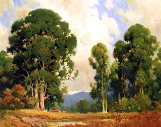 Farm and Eucalyptus