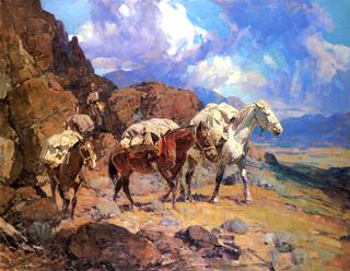 Pack Horses from Rim Rock Ranch