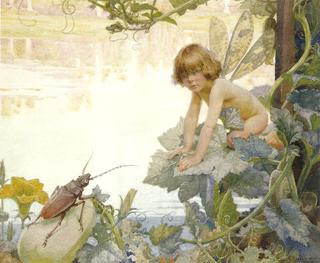 The Fairy and the Beetle