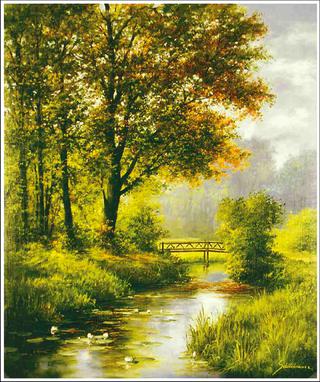Dreamy Creek