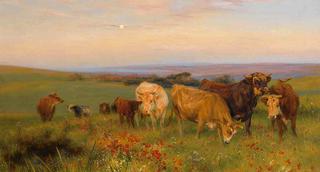 Herd of Cows in a Blossoming Meadow on the Cliffs