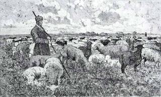 Shepherd