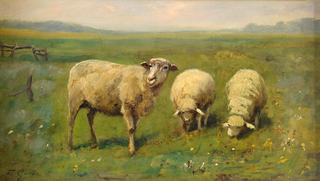 Three Sheep