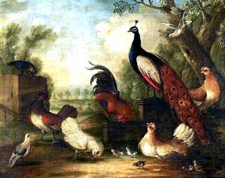 A Group of Ornamental Fowl in a Landscape