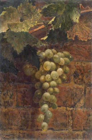 Grapes