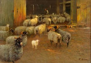 Sheepshearing