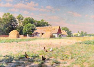Sunlit farm with pecking hens