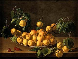 Still-Life of Fruit