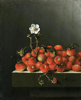 野生草莓静物画