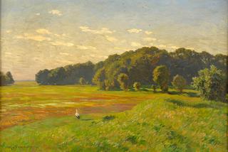 Summer Landscape