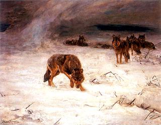 Wolves during Blizzard