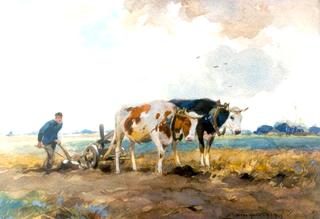 Ploughing farmer with ox