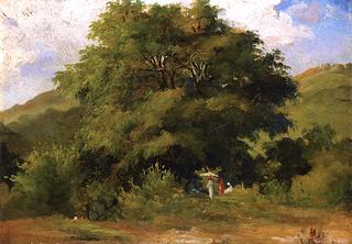 Landscape with Women under a Large Tree, Saint Thomas