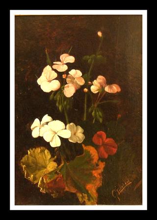 Flowers Posy