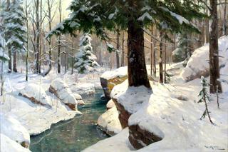 Stream in the Winter Forest