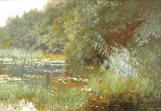 Forest pond with water lilies
