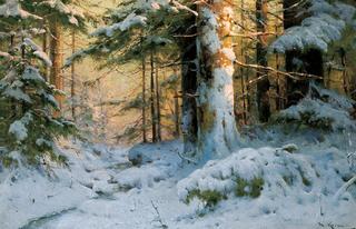 Forest in Winter