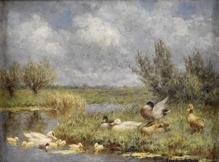 Ducks on the Riverbank