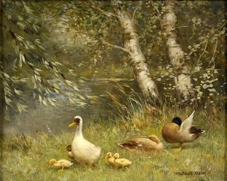 Ducks on the Riverbank