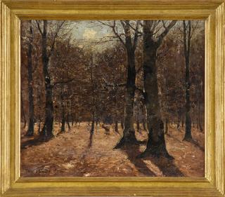 Forest in Autumn
