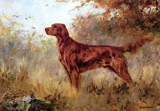 Setter