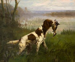 Setter with Duck