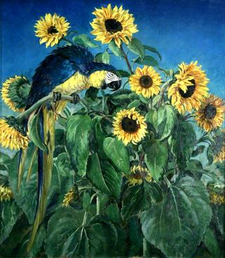 Macaw and Sunflowers