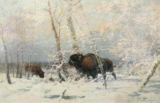 Bison in the Winter Forest