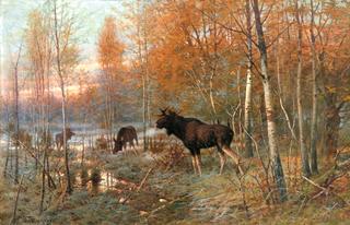 Elk in Autumn Forest