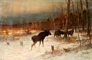 Elk in a Forest