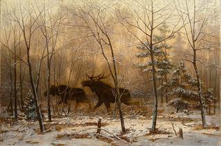 Elk in a Winter Forest