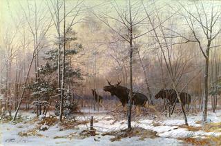 Elk in a Winter Forest