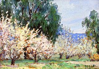 Almond Blossoms, Banning, California