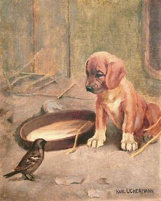 Puppy and Sparrow