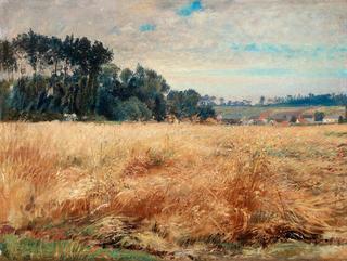 Corn Field with Poppies