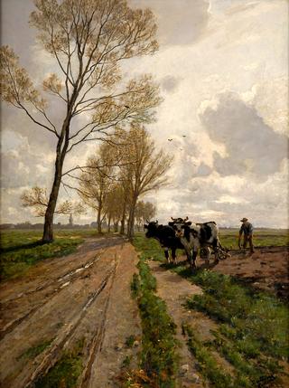 Spring landscape with oxen