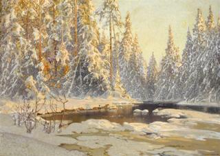 Forest in Winter