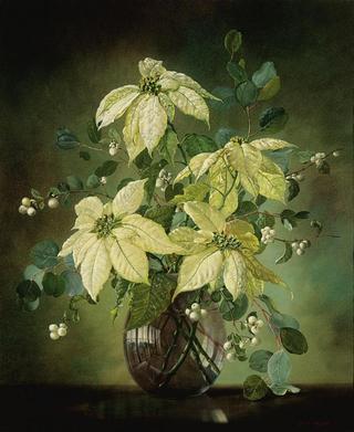 Still life with snowberries and poinsettias