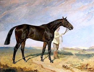 'Columcille', a Dark Bay Racehorse, Held by a Groom in a Landscape