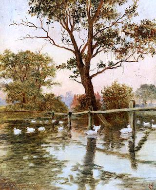 Duck Pond, Ruckholt Farm, North Acton