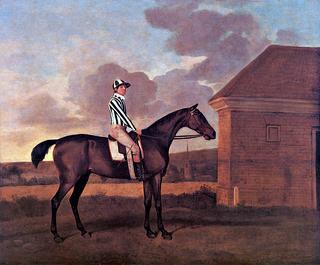 'Pyrrhus', a Racehorse Jointly owned by Charles James Fox MP and Thomas Foley, with Jockey up