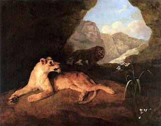 Lion and Lioness in a Cave