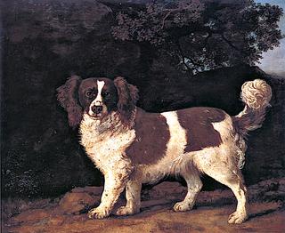 One of Mrs. Musters's Brown and White Spaniels